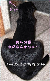 110220_1.jpg