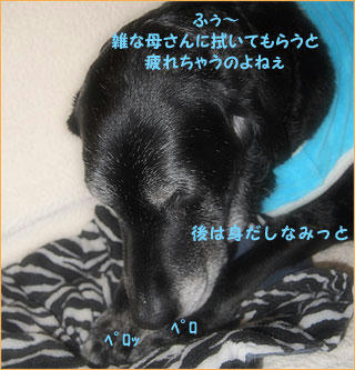 110220_6.jpg