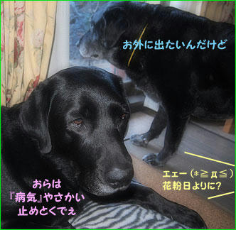 110304_12.jpg