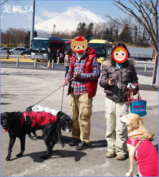 110307_1.jpg