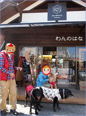 110307_4.jpg