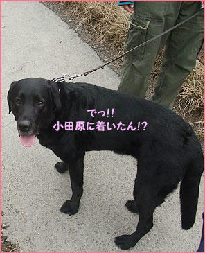 1104012_4.jpg