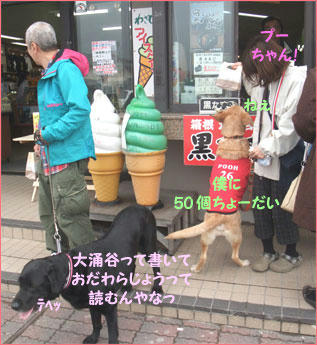 1104012_10.jpg