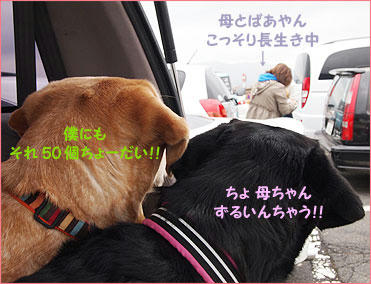 1104012_11.jpg