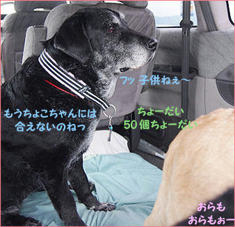 1104012_12.jpg