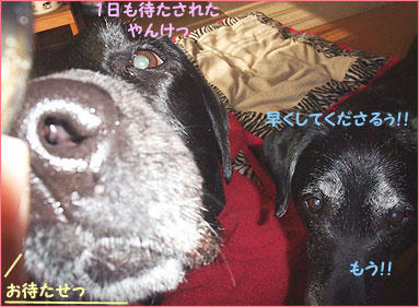 1104012_14.jpg