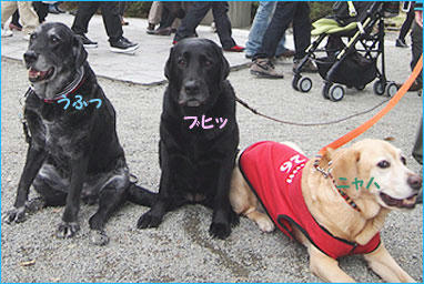 1104014_8.jpg