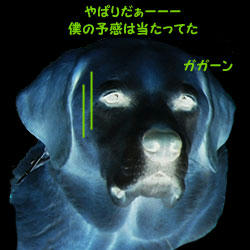 1104014_15.jpg