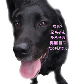 1104014_16.jpg