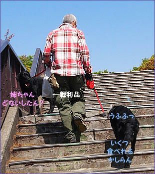 1104022_5.jpg