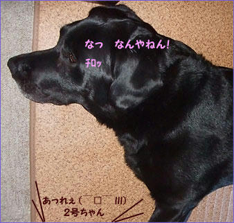 1104022_9.jpg