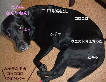 1104022_10.jpg