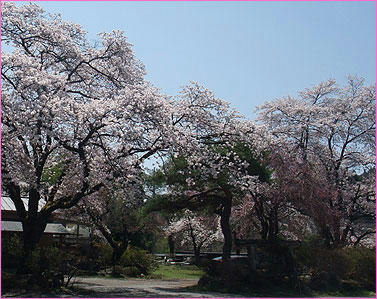 1104026_1.jpg