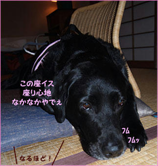 1104026_7.jpg