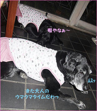 1104026_9.jpg