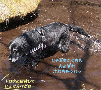 1104028_11.jpg