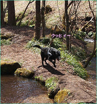 1104028_14.jpg