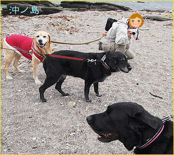 110501_15.jpg