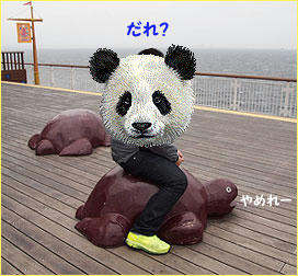 110501_2.jpg