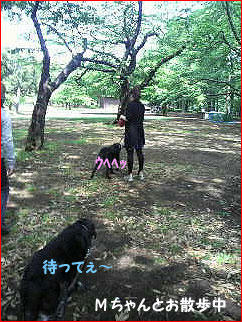 110507_1.jpg