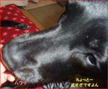 110507_9.jpg