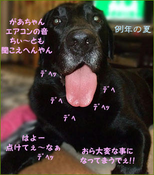 110512_0.jpg