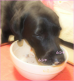 111114_3.jpg