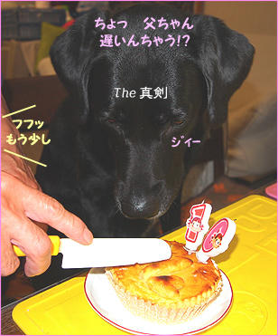 111114_7.jpg
