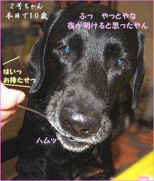 111114_8.jpg