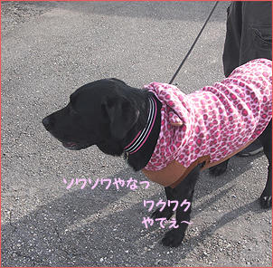 111127_1.jpg
