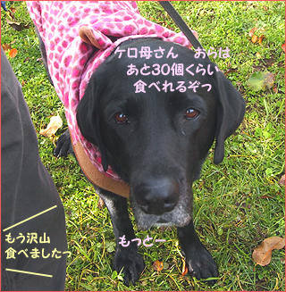 111127_6.jpg