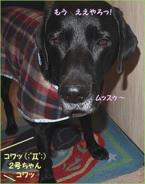 111203_3.jpg
