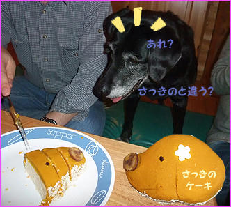 111217_6.jpg