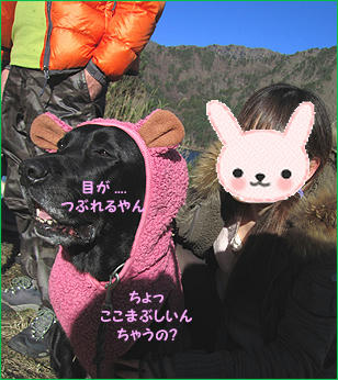 111218_3.jpg