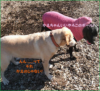 111218_6.jpg