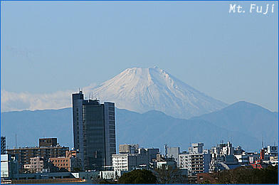 111227_1.jpg