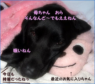 111227_2.jpg