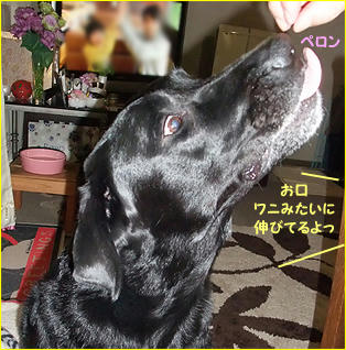 120101_3.jpg