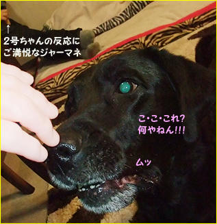 120101_4.jpg