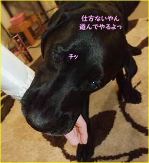 120101_5.jpg