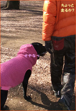 120107_2.jpg
