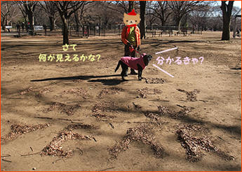 120107_5.jpg
