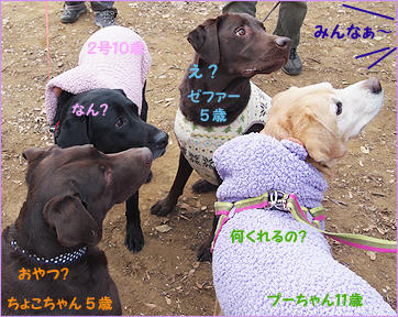120115_1.jpg
