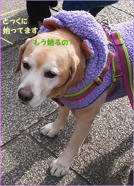 120115_4.jpg