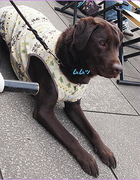 120115_5.jpg