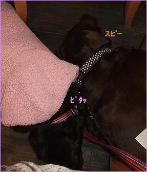 120115_10.jpg