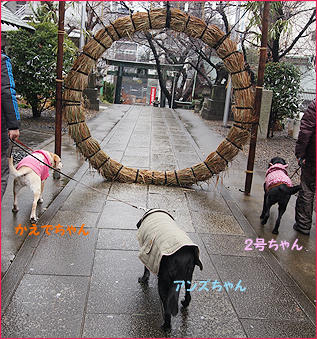 120122_1.jpg