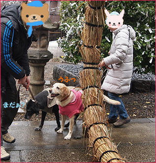 120122_3.jpg