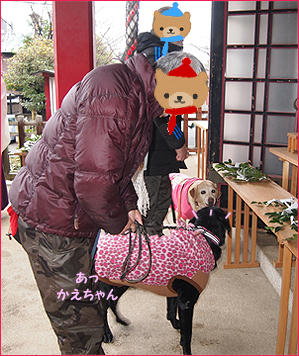 120122_5.jpg