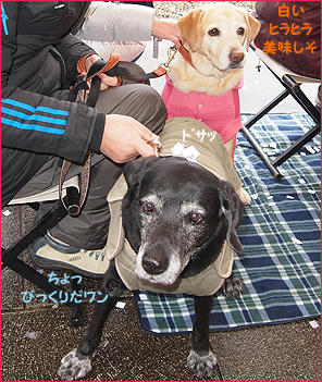 120122_7.jpg